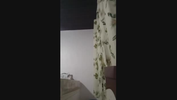Rey2k24 12-11-2024 Recorded Video Video