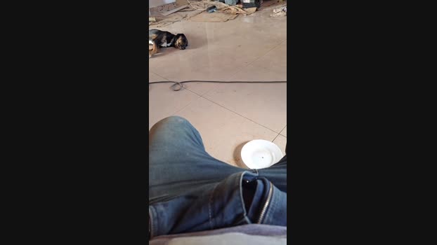Ribeirosiebes 11-11-2024 Recorded Video sexy