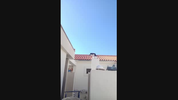 Seloloko 12-11-2024 Recorded Video beauty