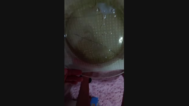 carp36 12-11-2024 Recorded Video toys