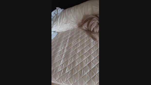 onabuta0922 12-11-2024 Recorded Video amateur