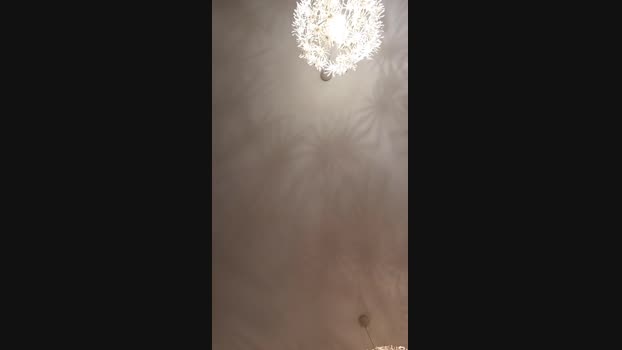 sexfriend69_xxx 11-11-2024 Recorded Video bigass
