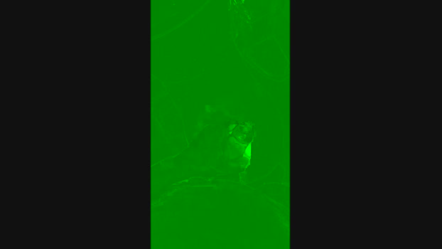 super996999 12-11-2024 Recorded Video jackoff