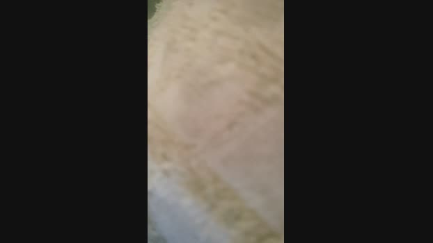 wilbert_sexy 11-11-2024 Recorded Video wank