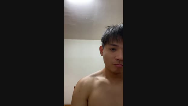 Foxfoxfox 13-11-2024 Recorded Video analtoy