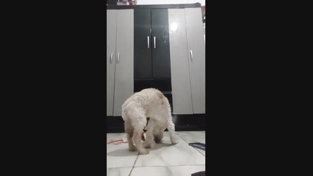 MatthewsH 12-11-2024 Recorded Video bigass