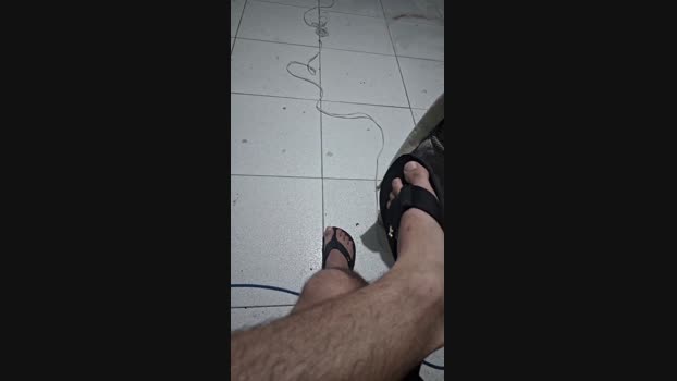 Vanluiz28 12-11-2024 Recorded Video analtoy