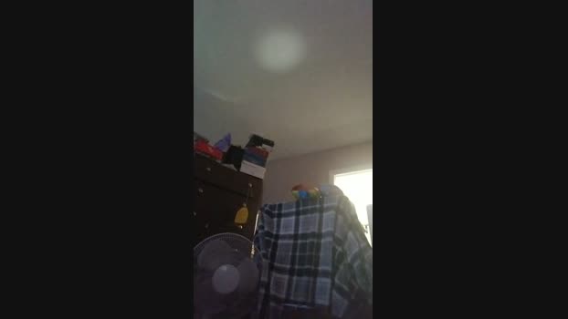 physicssexpert 12-11-2024 Recorded Video jerkoff