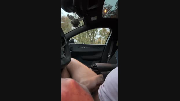 piemel19x6 13-11-2024 Recorded Video Video