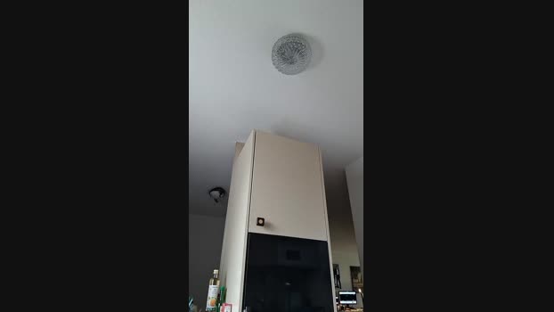 ALPHA_HUNK 14-11-2024 Recorded Video lick