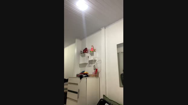 Joaopedro1_ 13-11-2024 Recorded Video legs