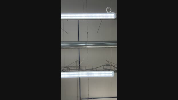 Lisciaking91 14-11-2024 Recorded Video Webcam