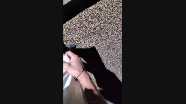 Sexylatinogay 13-11-2024 Recorded Video lick