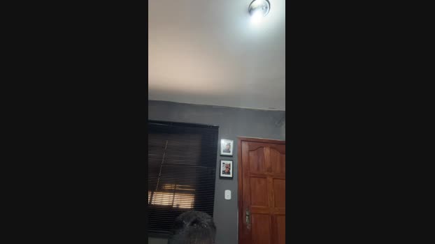 dreamer140 14-11-2024 Recorded Video fuckhard