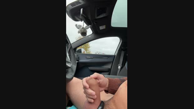 piemel19x6 14-11-2024 Recorded Video sex