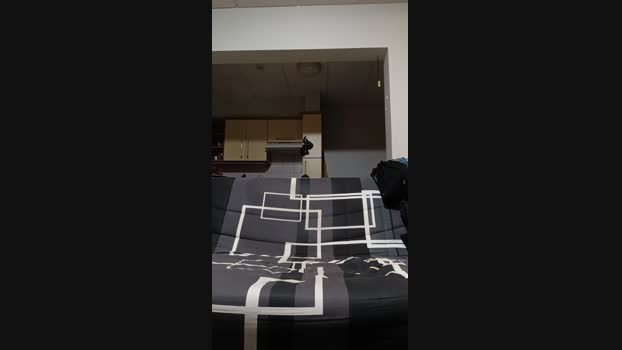 thomas954 13-11-2024 Recorded Video Webcam