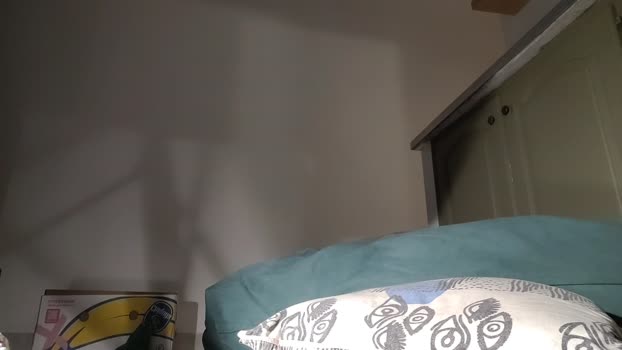 Emanuelk40 14-11-2024 Recorded Video suck