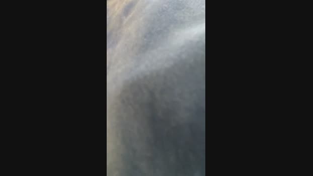 Seloloko 15-11-2024 Recorded Video naughty