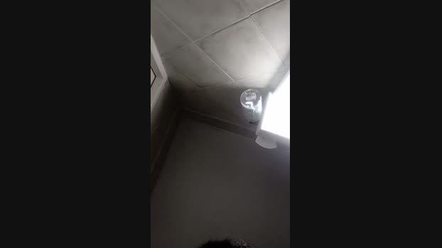 carp36 14-11-2024 Recorded Video show