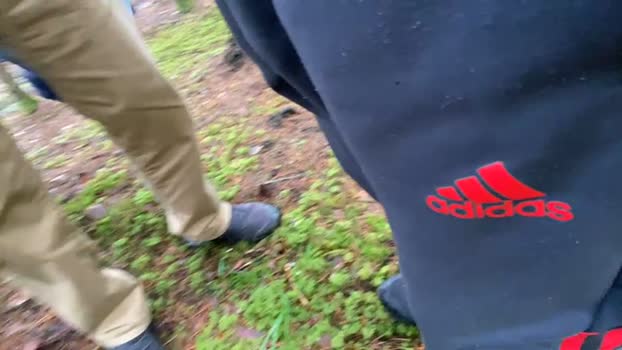 likescock5 15-11-2024 Recorded Video analsex