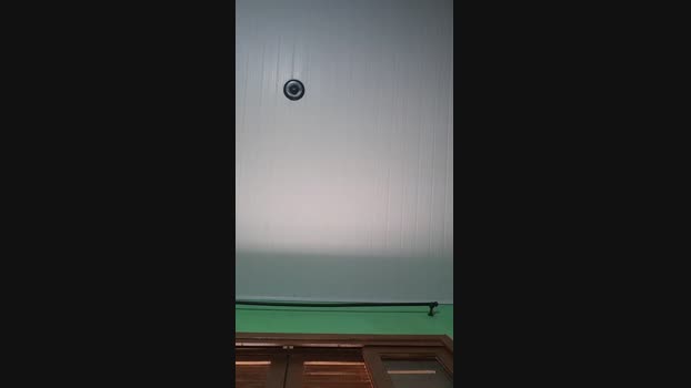 pedroputosc 15-11-2024 Recorded Video big