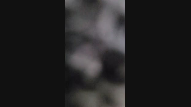 GAUCHOCoxudo 15-11-2024 Recorded Video bigballs