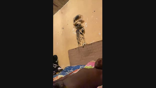 Monster_boys1 15-11-2024 Recorded Video Topless