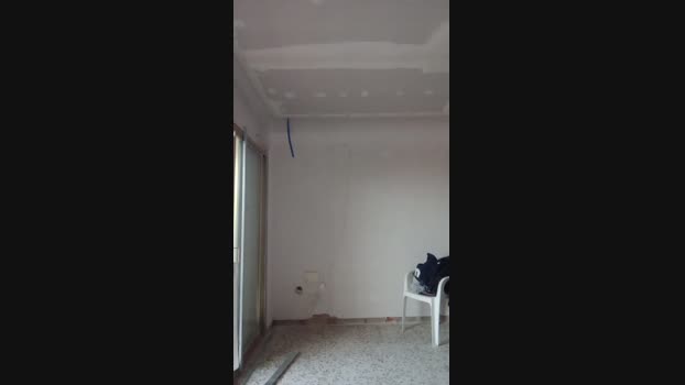 Seloloko 15-11-2024 Recorded Video sexybody