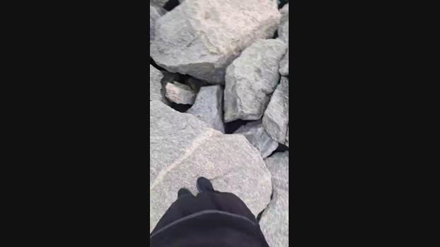 Vanluiz28 15-11-2024 Recorded Video big