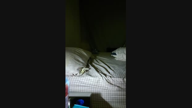 bbhifunnow 16-11-2024 Recorded Video Porn