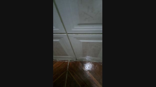 negrito196 15-11-2024 Recorded Video cute