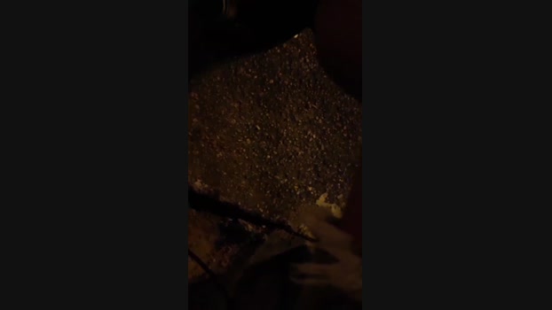 _ALLADYN_ 16-11-2024 Recorded Video big