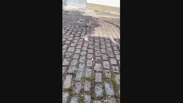 Dasul_01 17-11-2024 Recorded Video sweet