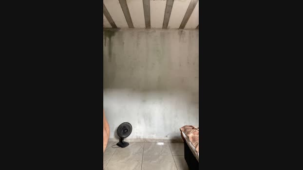 Evertongf 18-11-2024 Recorded Video love