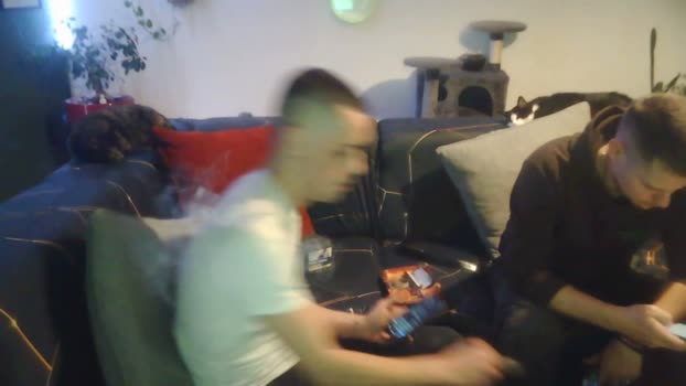 FrenchCollocgay 17-11-2024 Recorded Video suck