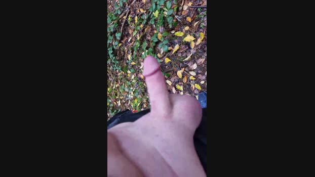 Outdoorgeil1 18-11-2024 Recorded Video gag