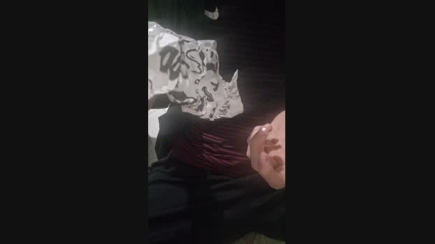Vanluiz28 17-11-2024 Recorded Video play