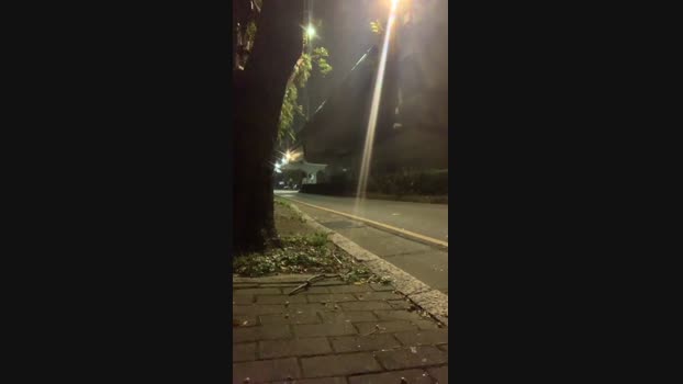 brian242016 17-11-2024 Recorded Video skinny
