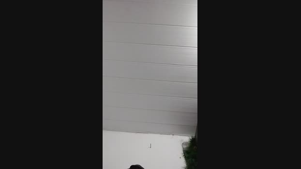 leandro1967 17-11-2024 Recorded Video Video