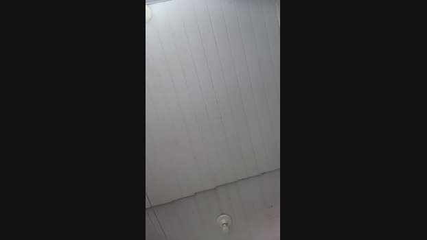 lucca232 17-11-2024 Recorded Video Ass