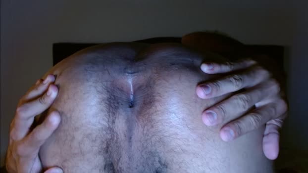 Bear_97x 18-11-2024 Recorded Video analtoy