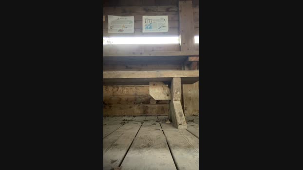 CokinLyonTBM 19-11-2024 Recorded Video strip