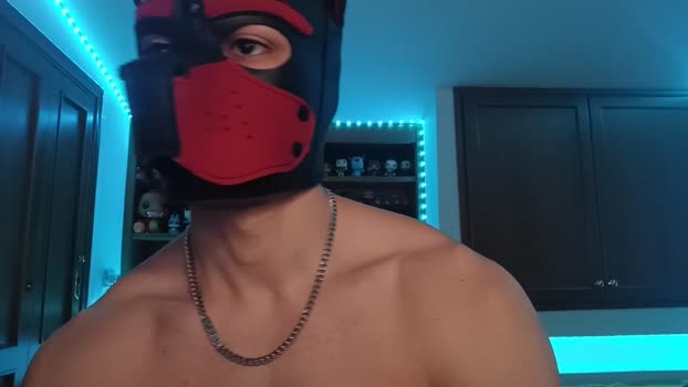 Frabroker 18-11-2024 Recorded Video gag