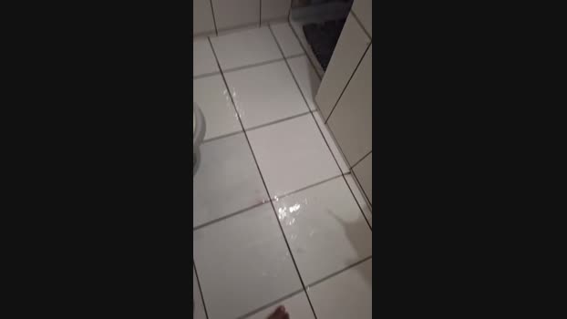 Mcsexo 18-11-2024 Recorded Video strip
