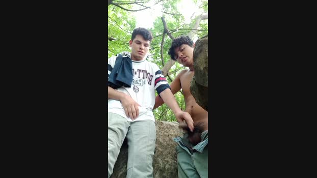 _Ottis_ 18-11-2024 Recorded Video analtoy