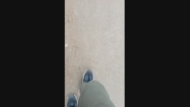 exhibius 19-11-2024 Recorded Video play