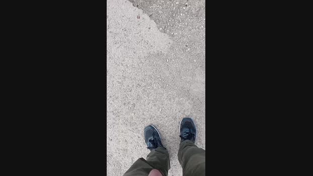 exhibius 19-11-2024 Recorded Video Recorded