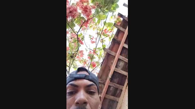 leandro1967 18-11-2024 Recorded Video legs