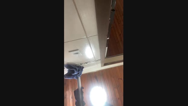 pauzudonobin 19-11-2024 Recorded Video Ass