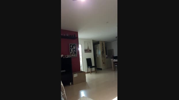 ALPHA_HUNK 19-11-2024 Recorded Video bigload